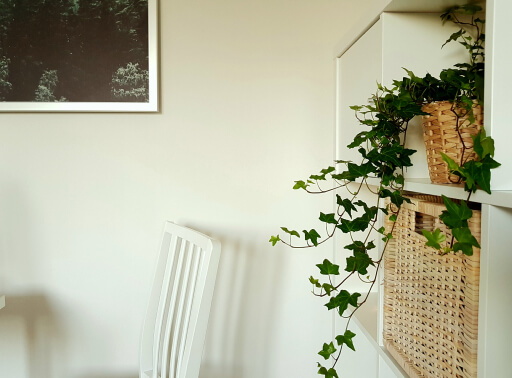 Interior Styling